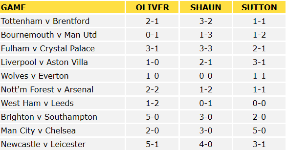 Premier League Predictions